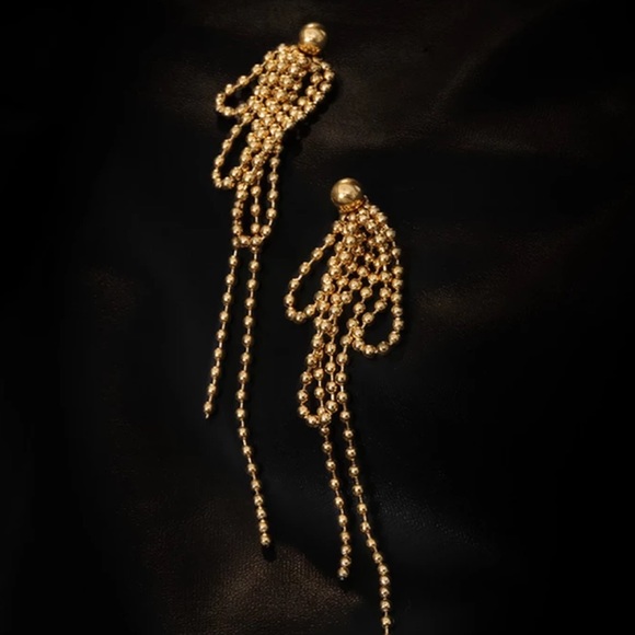GP Irregular Long Tassel beaded earrings - Picture 5 of 5